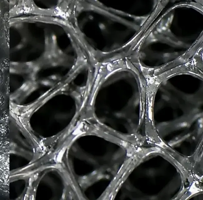Macro view of foam cell structure